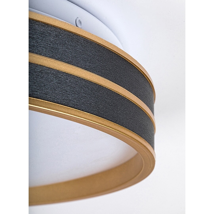 Rabalux - LED Димируемо таванно осветително тяло LED/24W/230V 3000-6500K Ø 39 см + дистанционно управление