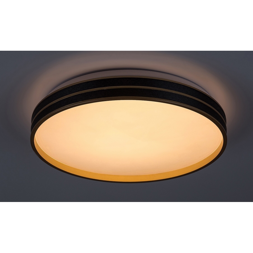 Rabalux - LED Димируем плафон LED/24W/230V 3000-6500K + дистанционно управление