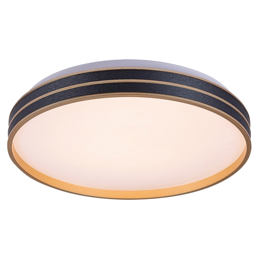Rabalux - LED Димируем плафон LED/24W/230V 3000-6500K + дистанционно управление
