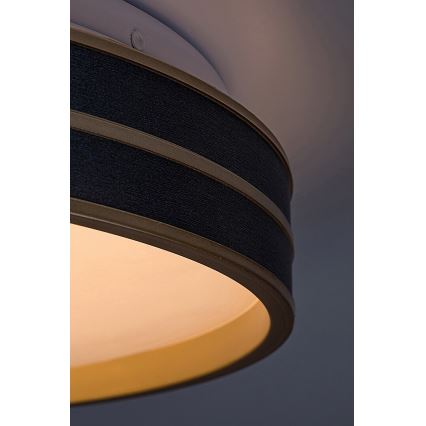 Rabalux - LED Димируем плафон LED/24W/230V 3000-6500K + дистанционно управление