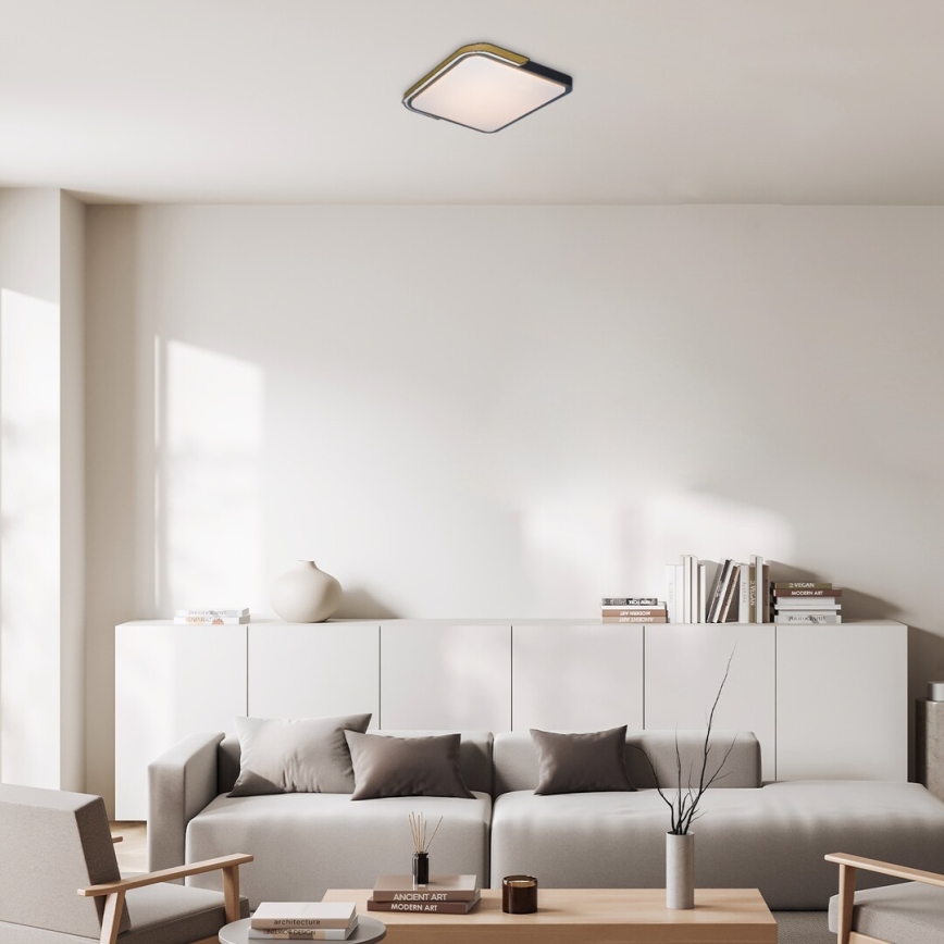 Rabalux - LED RGB Димируем плафон LED/48W/230V 3000K/4000K/6500K Wi-Fi Tuya + дистанционно управление