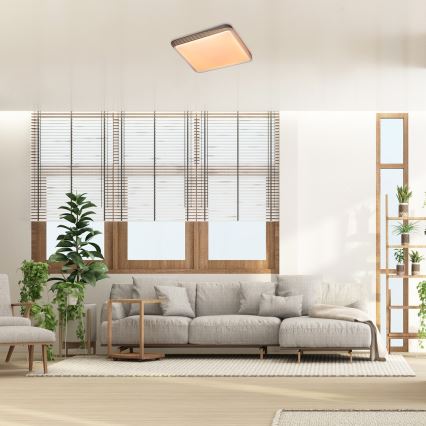 Rabalux - LED Плафониера LED/40W/230V 3000K