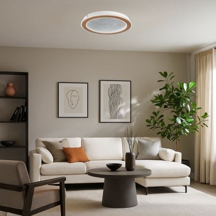 Rabalux - LED таванно осветително тяло с възможност за димиране LED/24W/230V 3000-6500K диаметър 40 см + дистанционно управление