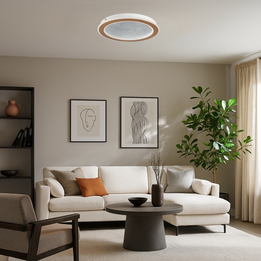 Rabalux - LED таванно осветително тяло с възможност за димиране LED/24W/230V 3000-6500K диаметър 40 см + дистанционно управление