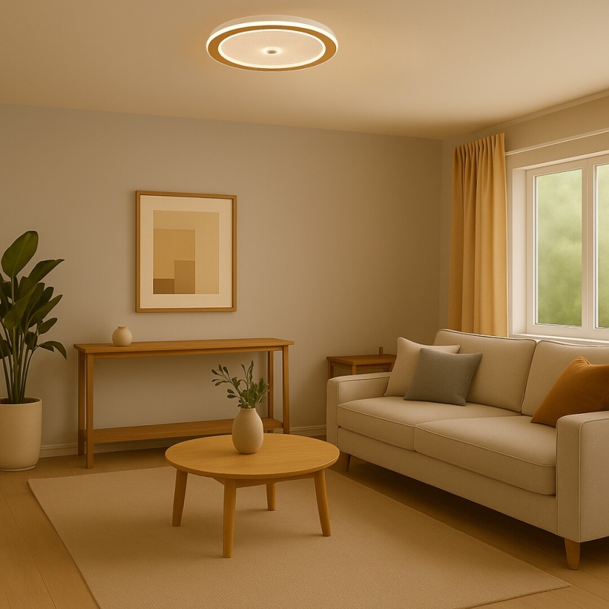 Rabalux - Димируема LED таванна лампа, 34 W/230 V, 3000-6500 K, Ø 51 см + дистанционно управление