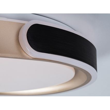 Rabalux - LED Димируем плафон LED/48W/230V 3000-6500K + дистанционно управление