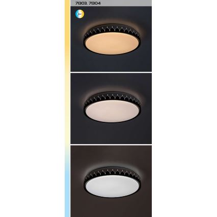 Rabalux - LED Димируем плафон LED/48W/230V 3000-6500K + дистанционно управление
