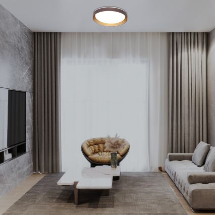 Rabalux - LED Димируем плафон LED/48W/230V 3000-6500K + дистанционно управление