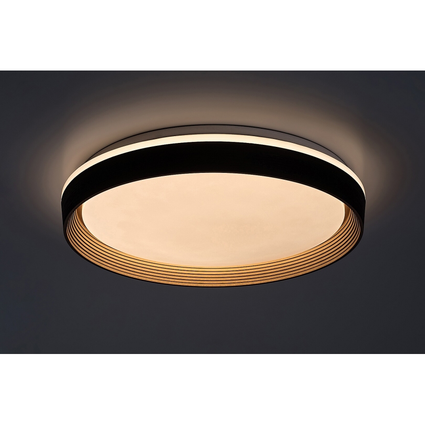 Rabalux - LED Димируем плафон LED/48W/230V 3000-6500K + дистанционно управление