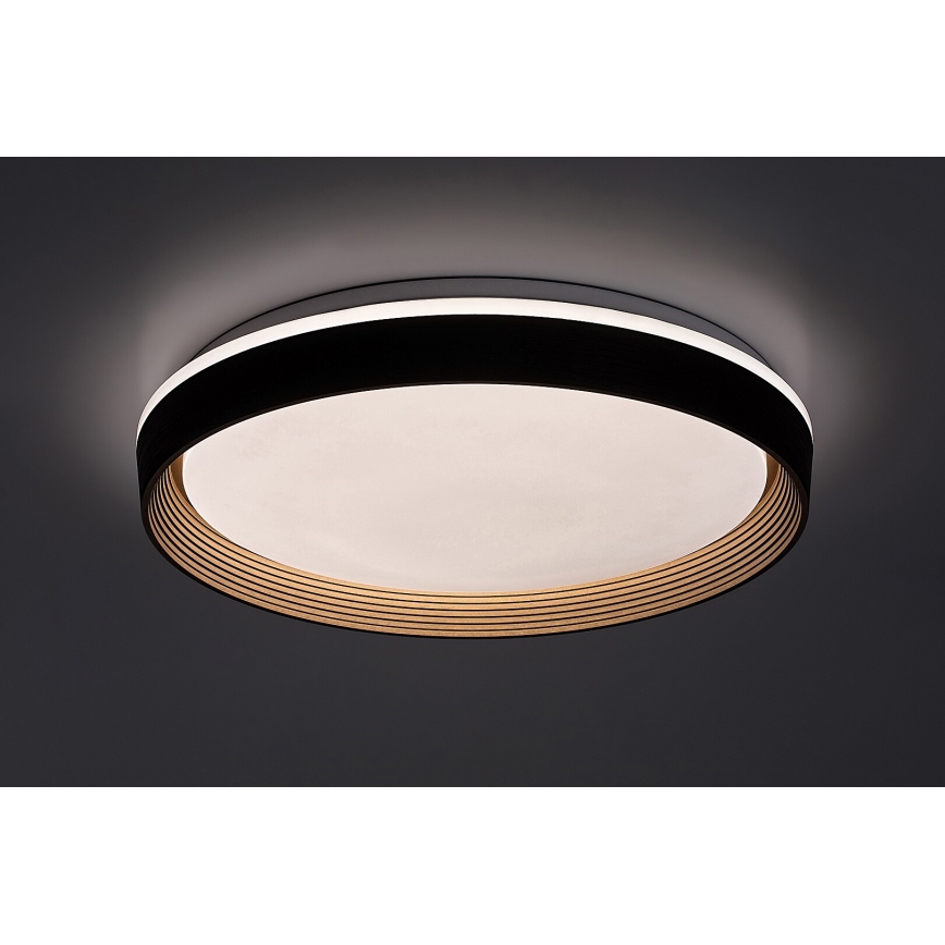 Rabalux - LED Димируем плафон LED/48W/230V 3000-6500K + дистанционно управление
