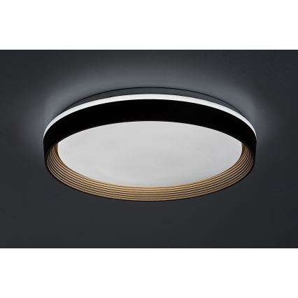 Rabalux - LED Димируем плафон LED/48W/230V 3000-6500K + дистанционно управление