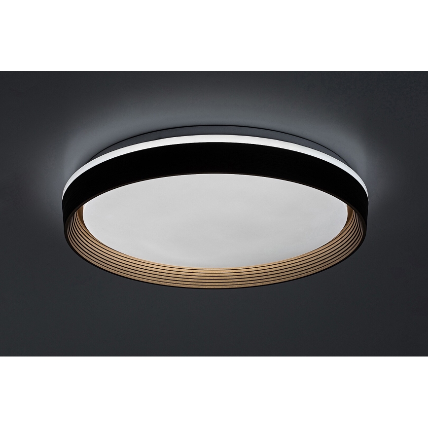 Rabalux - LED Димируем плафон LED/48W/230V 3000-6500K + дистанционно управление