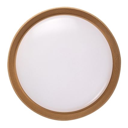 Rabalux - LED Димируем плафон LED/48W/230V 3000-6500K + дистанционно управление