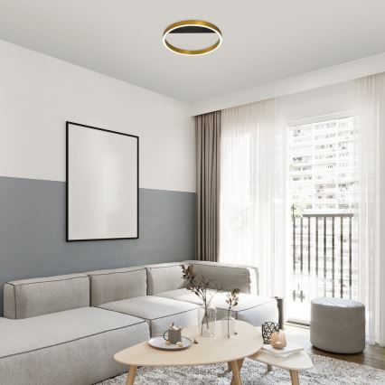 Rabalux - LED Плафониера LED/20W/230V златист