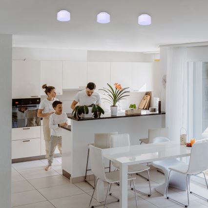 Rabalux - LED таванно осветително тяло LED/24W/230V 3000K бяло, диаметър 14 см