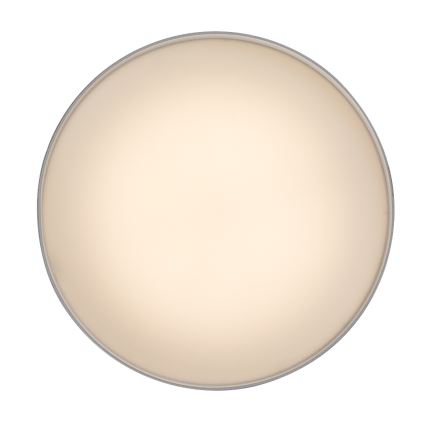 Rabalux - LED таванно осветително тяло LED/24W/230V 3000K бяло, диаметър 14 см