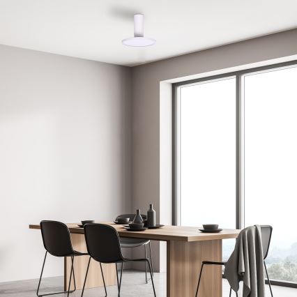 Rabalux - LED таванно осветително тяло LED/20W/230V 3000K бяло, диаметър 20 см