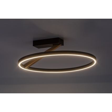 Rabalux - LED таванно осветително тяло LED/24W/230V 3000K Ø 45 см