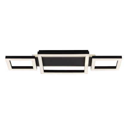 Rabalux - LED плафон 24W/230V, 4000K, 22x51 см