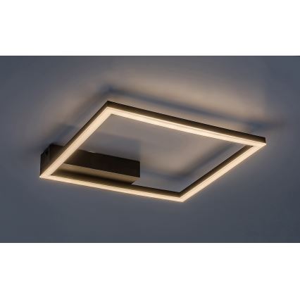Rabalux - LED Плафониера LED/24W/230V 3000K