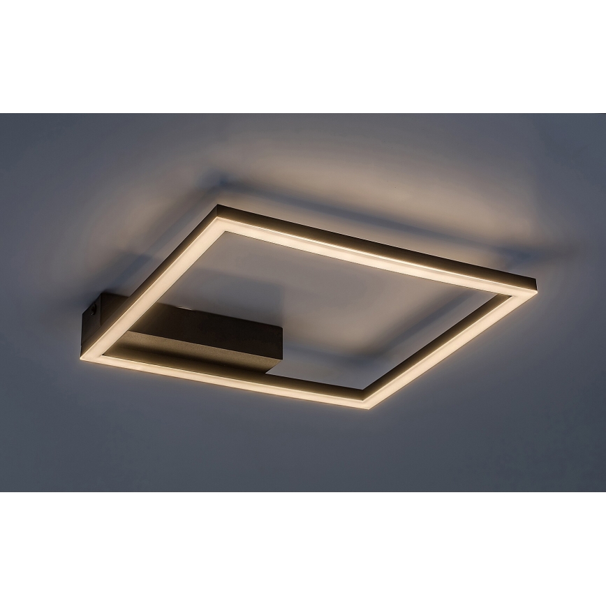 Rabalux - LED Плафониера LED/24W/230V 3000K
