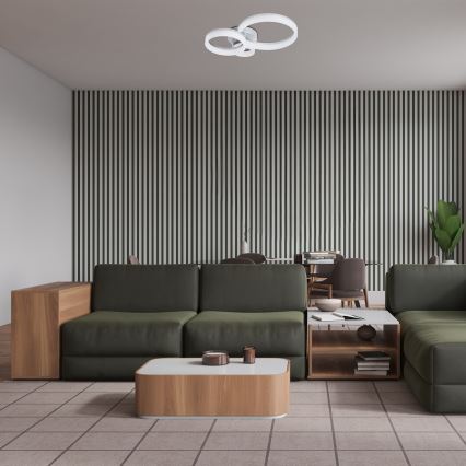 Rabalux - LED таванно осветително тяло LED/24W/230V 3000/4000/6500K 38x51 см матов хром