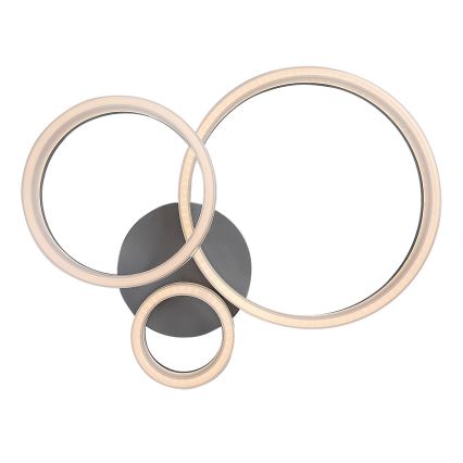 Rabalux - LED таванно осветително тяло LED/24W/230V 3000/4000/6500K 38x51 см матов хром