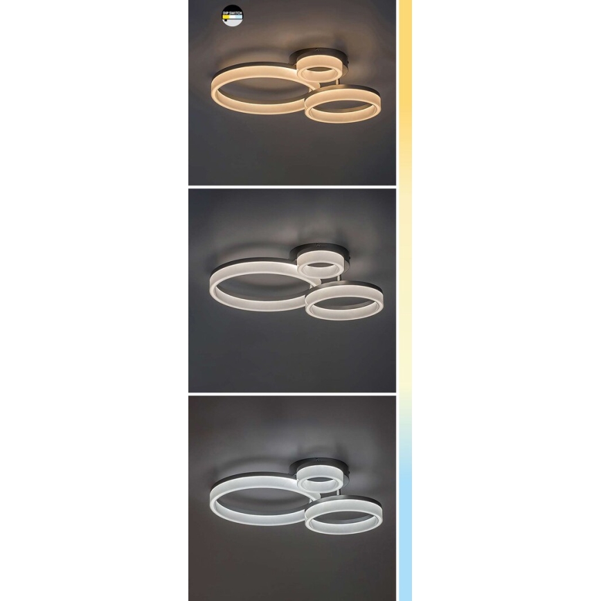 Rabalux - LED таванно осветително тяло LED/24W/230V 3000/4000/6500K 38x51 см матов хром