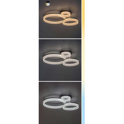 Rabalux - LED Плафониера LED/24W/230V 3000/4000/6500K черен 38x51 см