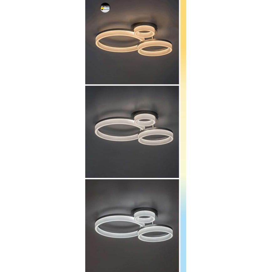 Rabalux - LED Плафониера LED/24W/230V 3000/4000/6500K черен 38x51 см