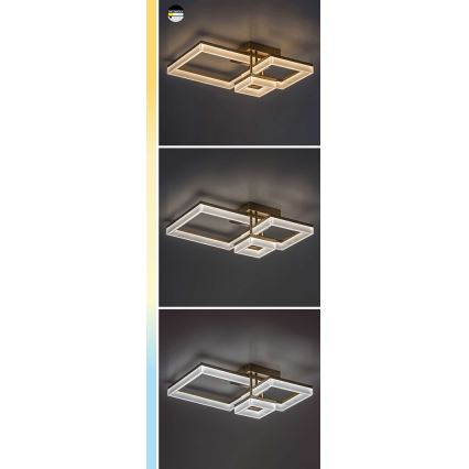 Rabalux - LED Плафониера LED/22W/230V 3000/4000/6500K матов хром