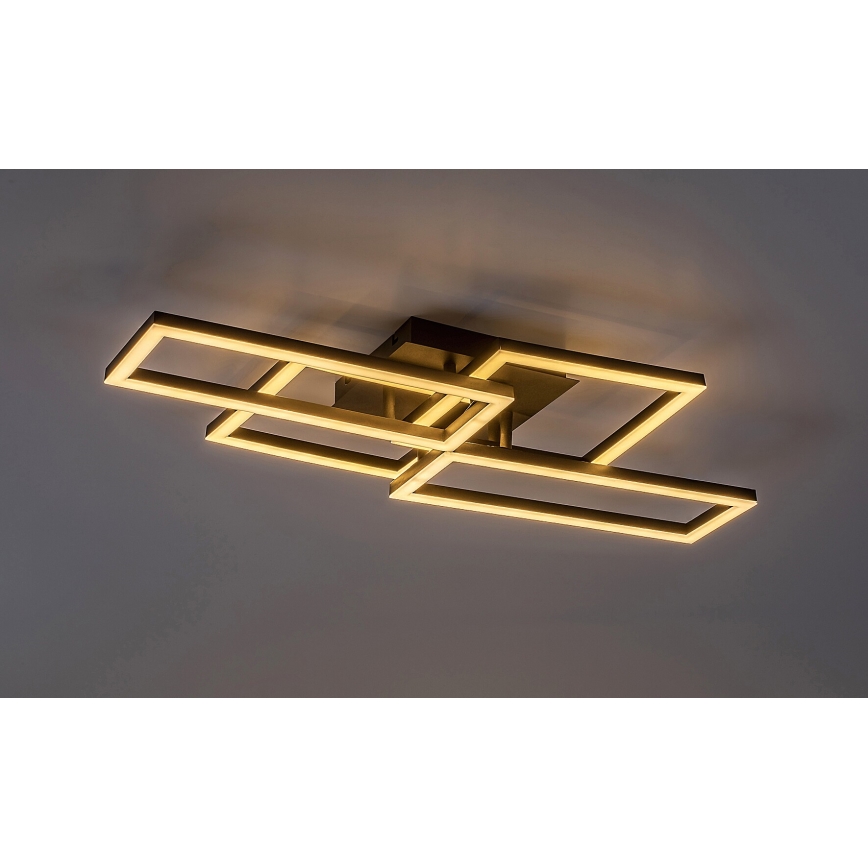 Rabalux - LED Димируем плафон LED/40W/230V 3000-6500K + дистанционно управление