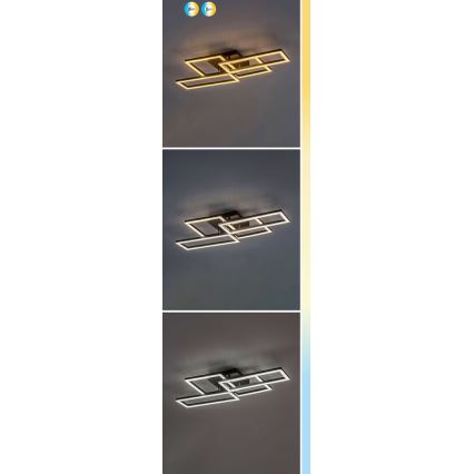 Rabalux - LED Димируем плафон LED/40W/230V 3000-6500K + дистанционно управление