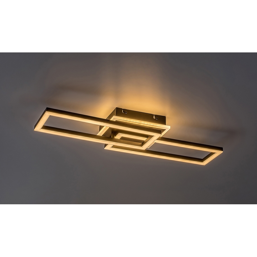 Rabalux - LED Димируем плафон LED/30W/230V 3000-6500K + дистанционно управление