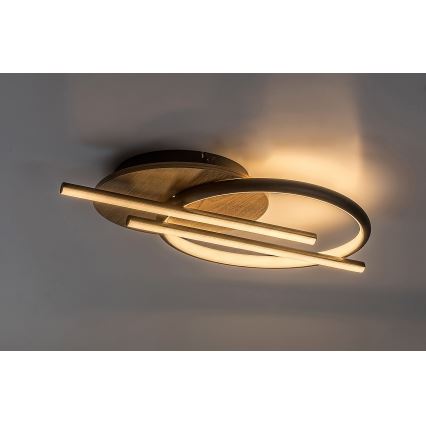 Rabalux - LED Плафониера LED/40W/230V 3000/4000/6500K