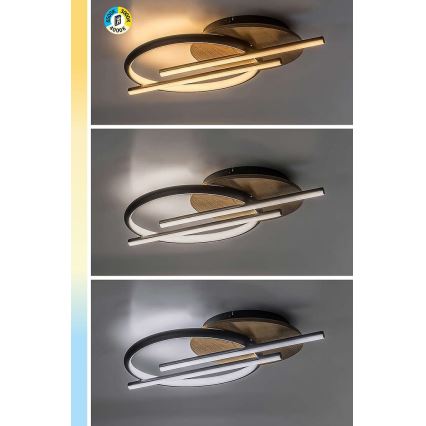 Rabalux - LED Плафониера LED/40W/230V 3000/4000/6500K