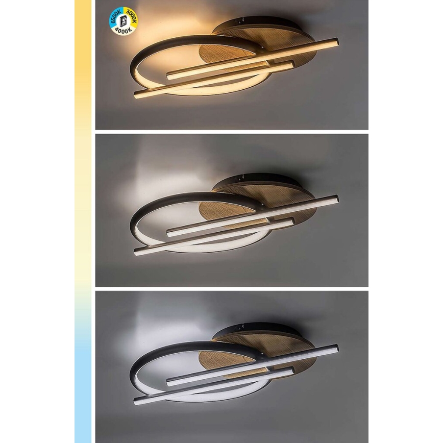 Rabalux - LED Плафониера LED/40W/230V 3000/4000/6500K