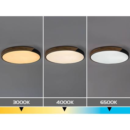 Rabalux - LED таванно осветително тяло LED/42W/230V 3000/4000/6500K черно/дъб Ø 61 см