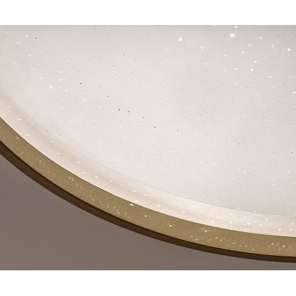 Rabalux - Димируем LED плафон LED/34W/230V 3000-6500K Ø 38 cm + дистанционно управление