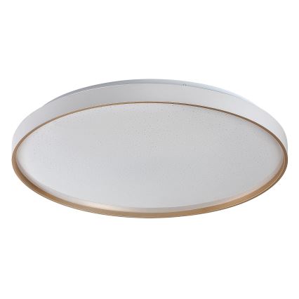 Rabalux - димируемо LED таванно осветително тяло LED/60W/230V 3000-6500K, диаметър 58 см + дистанционно управление