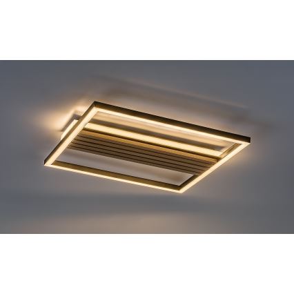 Rabalux - LED плафон LED/30W/230V 3000/4500/6000K