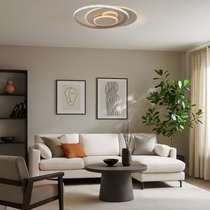 Rabalux - LED таванно осветително тяло с възможност за димиране LED/57W/230V 3000-6000K 48,5x40 cm + дистанционно управление