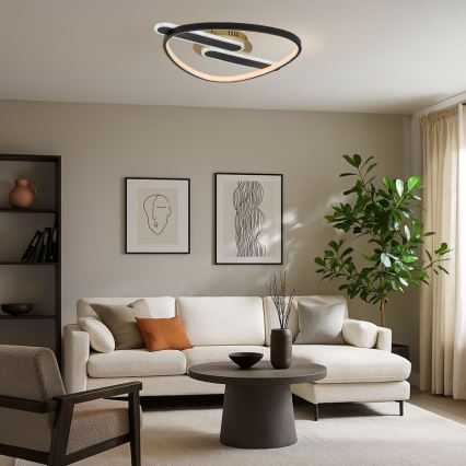 Rabalux - LED димируем таванен плафон LED/60W/230V 3000-6000K 53x45 cm + дистанционно управление