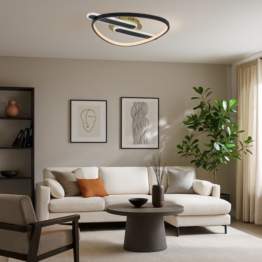 Rabalux - LED димируем таванен плафон LED/60W/230V 3000-6000K 53x45 cm + дистанционно управление