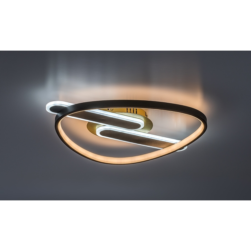 Rabalux - LED димируем таванен плафон LED/60W/230V 3000-6000K 53x45 cm + дистанционно управление