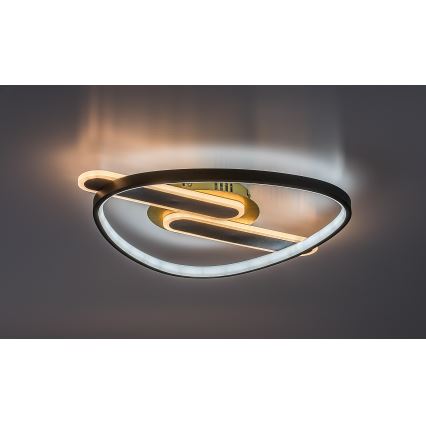 Rabalux - LED димируем таванен плафон LED/60W/230V 3000-6000K 53x45 cm + дистанционно управление