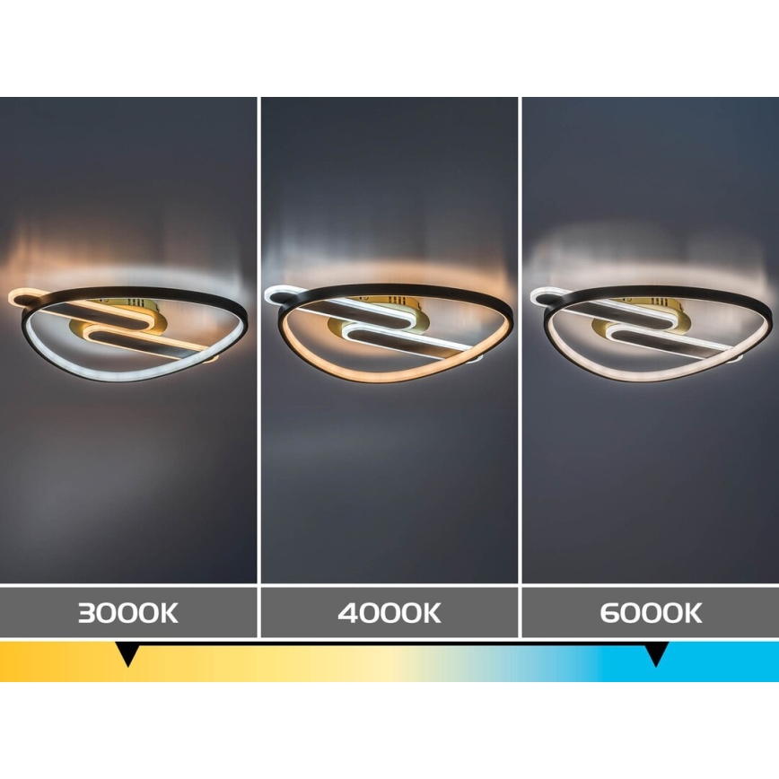Rabalux - LED димируем таванен плафон LED/60W/230V 3000-6000K 53x45 cm + дистанционно управление