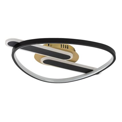 Rabalux - LED димируем таванен плафон LED/60W/230V 3000-6000K 53x45 cm + дистанционно управление