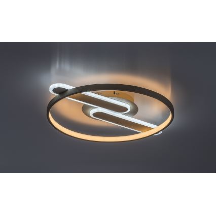 Rabalux - LED таванен плафон с функция за димиране LED/55W/230V 3000-6000K 53x45 cm + дистанционно управление