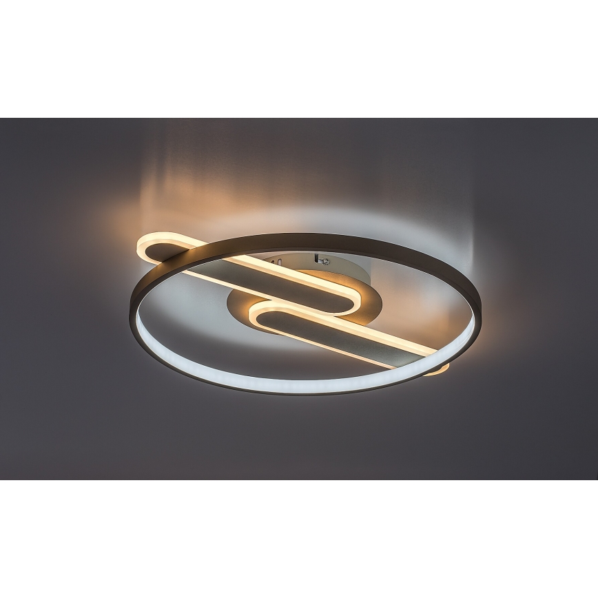 Rabalux - LED таванен плафон с функция за димиране LED/55W/230V 3000-6000K 53x45 cm + дистанционно управление